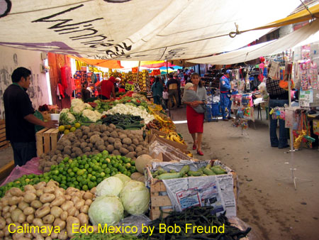 calimaya_market