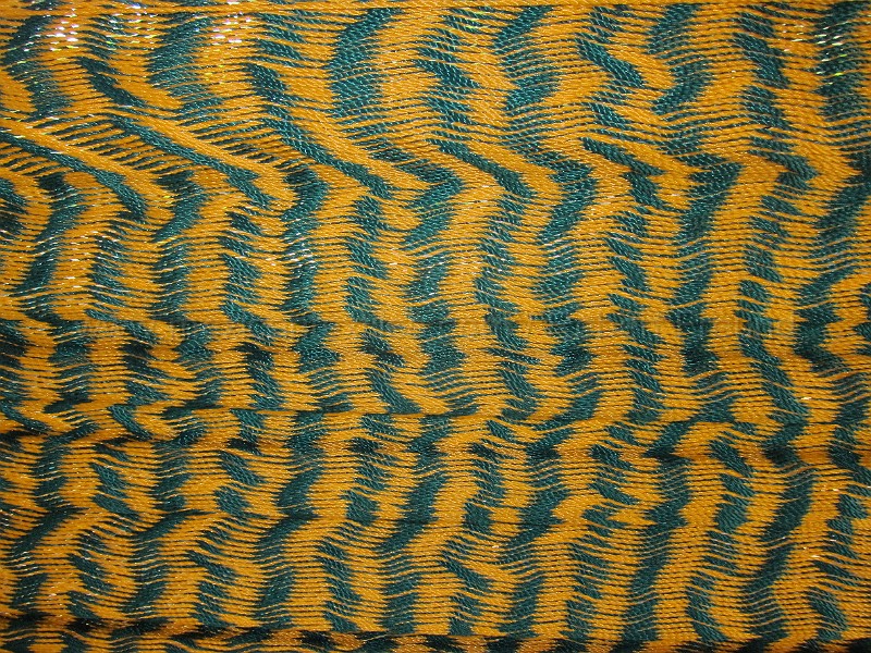 mayan_punachen18.JPG - Documantary photos of villages of Calkani, Campeche november 2011