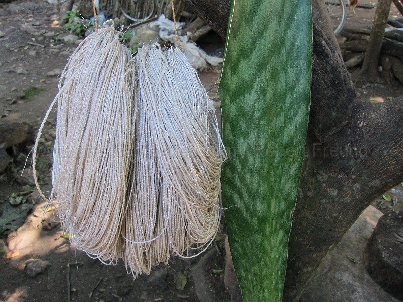 mayan_punachen37.JPG - Documantary photos of villages of Calkani, Campeche november 2011