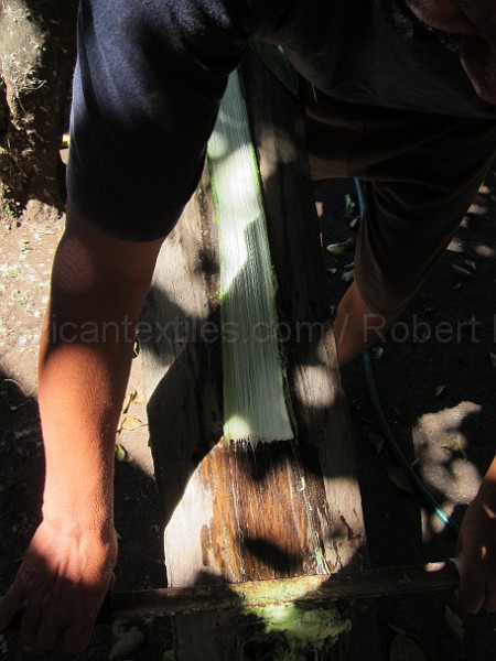 mayan_punachen39.JPG - Documantary photos of villages of Calkani, Campeche november 2011