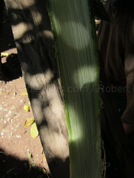 mayan_punachen40.JPG - Documantary photos of villages of Calkani, Campeche november 2011