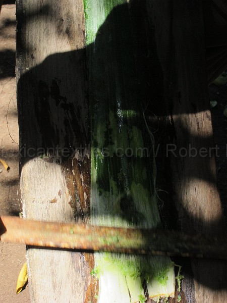 mayan_punachen41.JPG - Documantary photos of villages of Calkani, Campeche november 2011