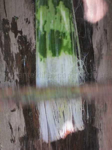 mayan_punachen43.JPG - Documantary photos of villages of Calkani, Campeche november 2011