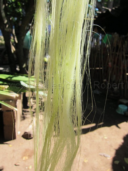 mayan_punachen50.JPG - Documantary photos of villages of Calkani, Campeche november 2011