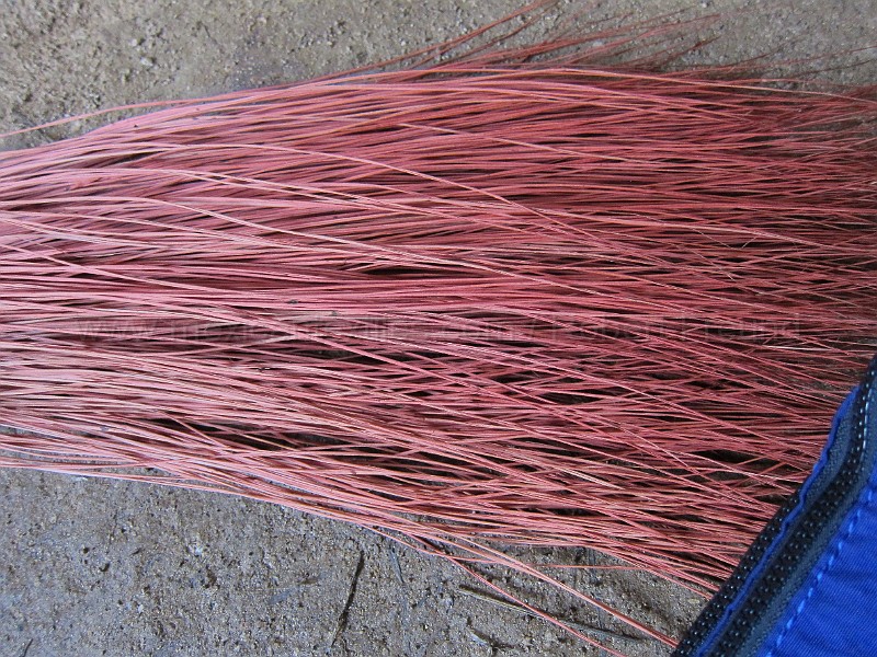 mayan_santacruz20.JPG - Documantary photos of villages of Calkani, Campeche november 2011