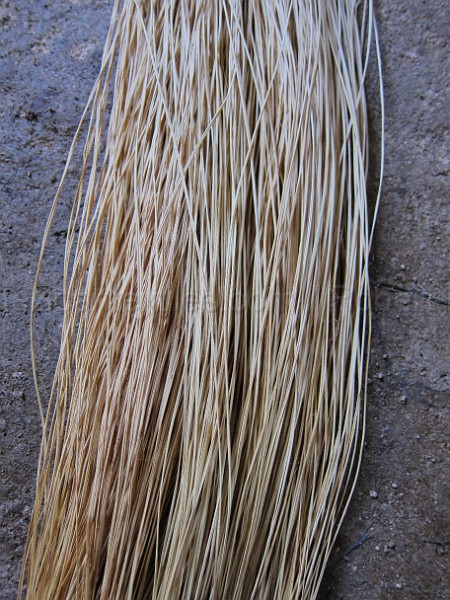 mayan_santacruz21.JPG - Documantary photos of villages of Calkani, Campeche november 2011