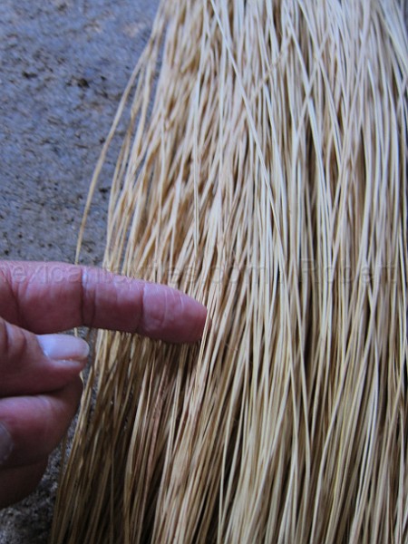 mayan_santacruz22.JPG - Documantary photos of villages of Calkani, Campeche november 2011