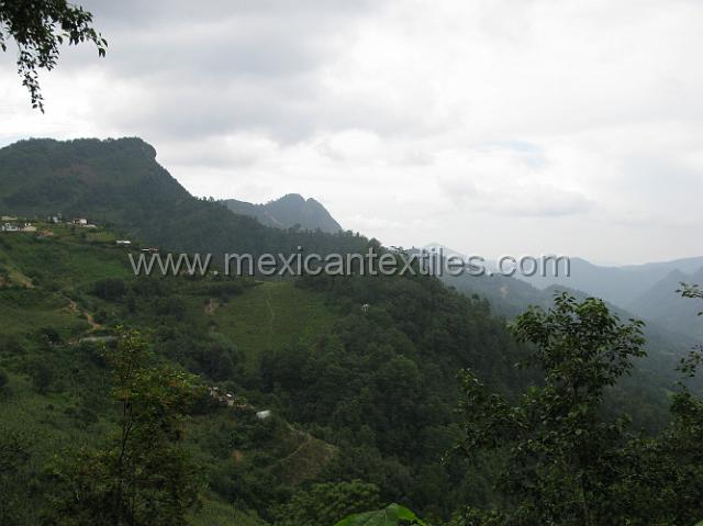 nahua_tecapagco_17.JPG - The area could not be more bueatifuil, Cuautempan has three different micro climates , this area being one of the highest parts of the county ( municipality) has a great deal of rain.