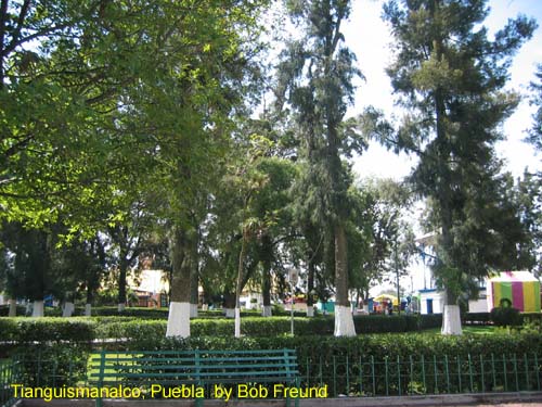 tianguismanalco_plaza
