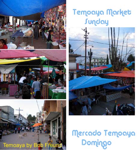 1_market_temoaya