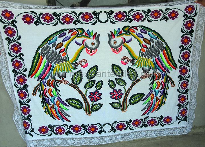 sn_antonio_embroiderey_27.JPG - Otomi indian embroidery from San Antonio Huehuetla, Hidalgo, Small table cloth cross stitch parrot design